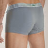 trunk bokserice boxers grey trunks sive bokserice kratka nogavica