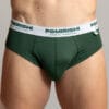Slip gaće od bambusa Pomirishi crvene, bele, crne, teget, sive, zelene, plave, bamboo underwear Pomirishi, red, black, grey, gray, blue, silver, green, Brief Underwear bamboo