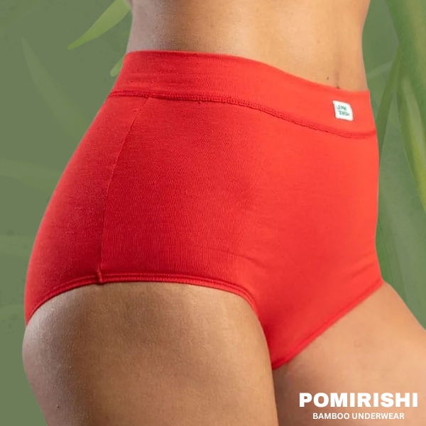 Donji veš za trudnice: Vodič za maksimalnu udobnost (šta tražiti, a šta izbegavati) 6 Slip Preduboke zenske gacice