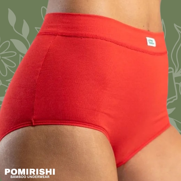 Donji veš za žene u menopauzi - Najbolji izbor za osetljivu kožu 3 Slip Preduboke